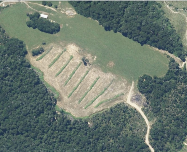 An aerial shot of the area where native bush was cut in the Maruia Valley at the top of the South...