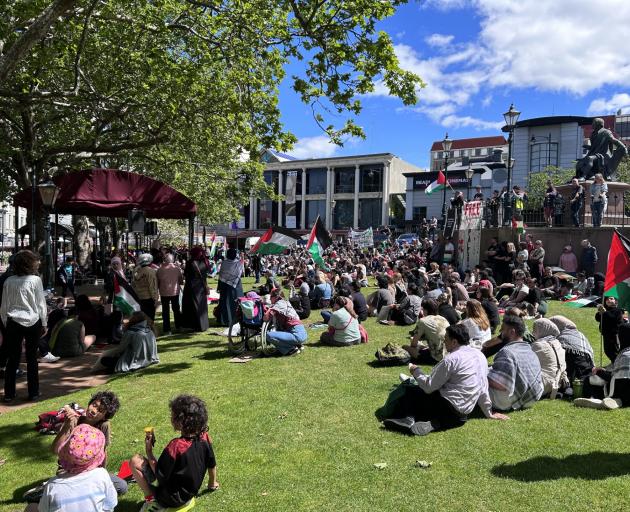 A previous Rally for Palestine protest is shown in this file photo. Photo: ODT Files