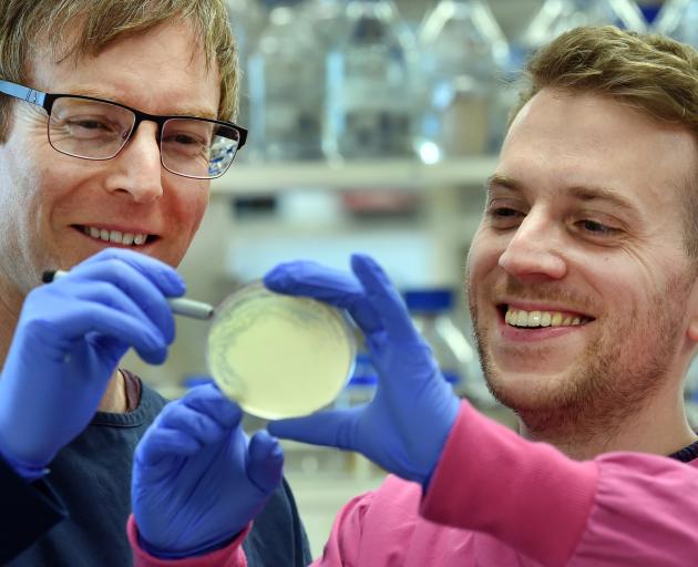 University of Otago microbiology and immunology researchers Professor Peter Fineran (left) and Dr...