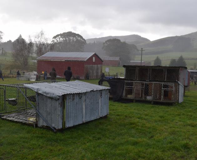  Dog kennels on display at the Wisp Hill Station clearing sale in the Catlins.