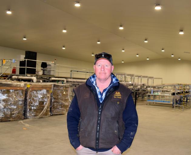 3 Kings Cherries co-owner Tim Paulin in his new state-of-the-art packhouse near Clyde. PHOTO:...