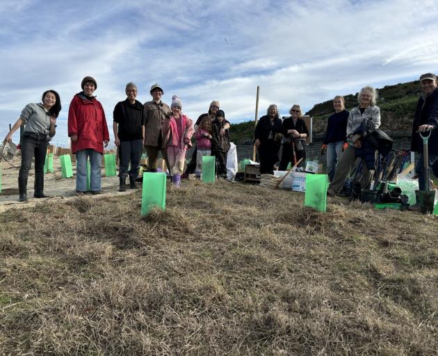 Community members gather for a planting session at Pukekura/Taiaroa Head on Sunday.