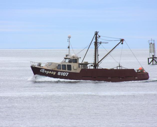 Willy Calder's Argosy returns from dredging in Foveaux Strait for the first day of the 2024...