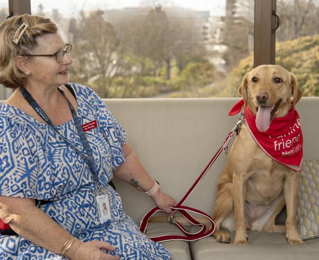 Nette and Frosty. PHOTO: HEALTH NEW ZEALAND | Te Whatu Ora Waitaha Canterbury Pānui 