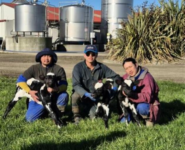 Carew dairy farm workers (from left) Dan, Paul and Asklee have been surprised on the Atkinson...