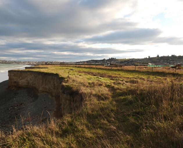 The coastal fringe of the subdivision site at the end of Caledonian Rd, looking south to Oamaru....