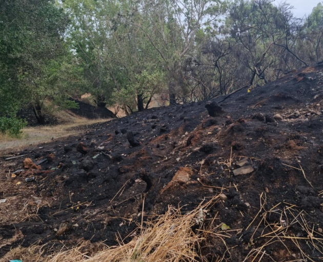 A fire also burned through farmland, pine trees and grasses near Waipara River Bridge in North...