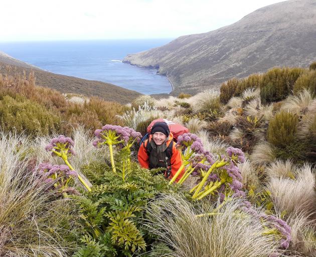 Chrissy Wickes stands among giant herbs growing on Campbell Island. PHOTO: PETER MOORE