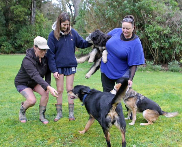 Furever Homes is reaching out to dogs’ best friends in Clutha with the help of (from left) Brodie...