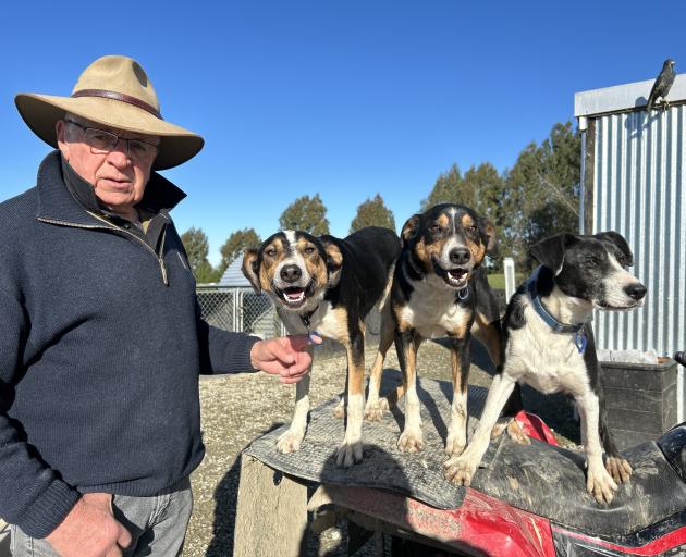 Southern Charity Dog Trials chairman Mike Joyce with his dogs Girl, Kaine and Pip. PHOTO: BEN...