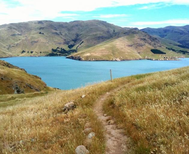 Godley Head has a network of walkways to explore Image: Photo: Creative Commons