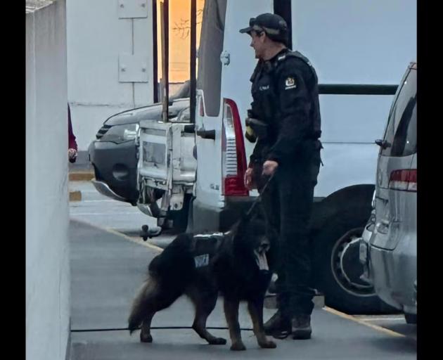 A police dog unit pursued two alleged car thieves from near Denton Park in Hornby to The Hub mall...