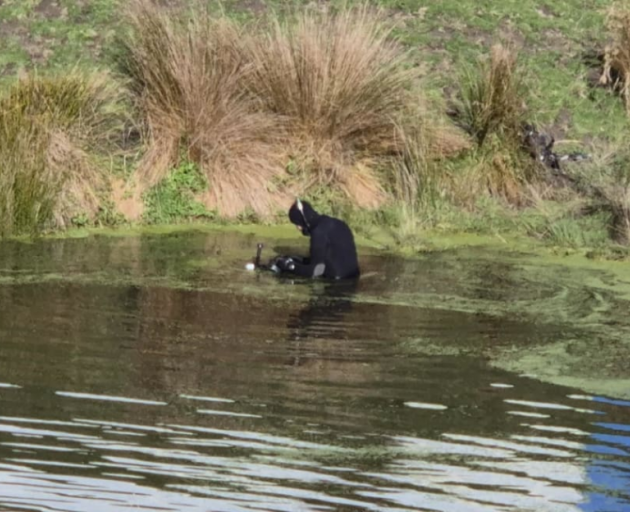 Police dive squad search a pond looking for missing boy Khyzah. Photo: RNZ