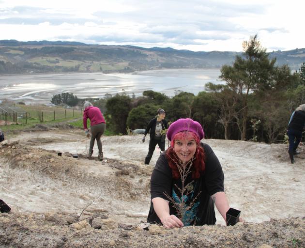 Dunedin city councillor Mandy Mayhem plants a kānuka tree on Sunday next to a cycle trail under...