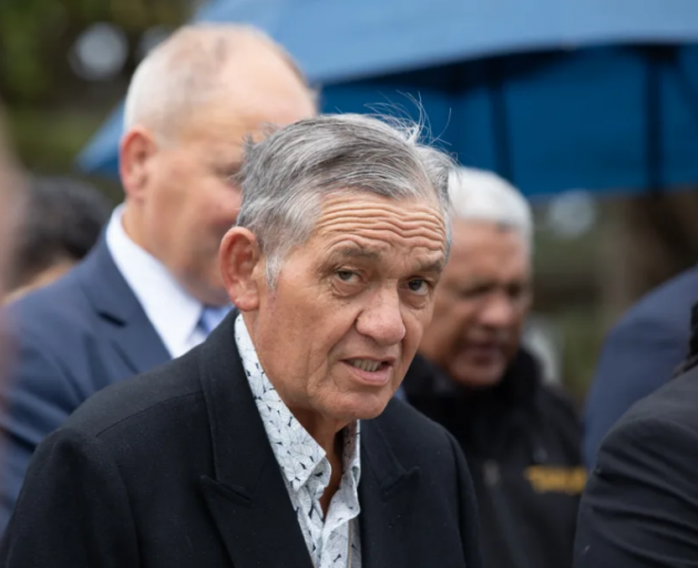 Kiingi Tuheitia Pootatau Te Wherowhero VII. Photo: RNZ