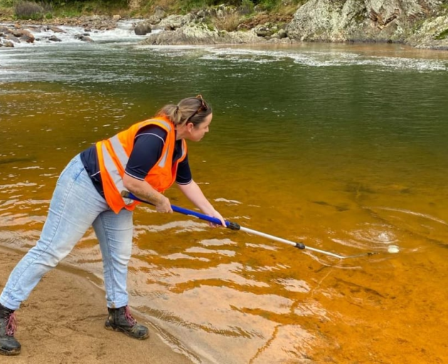 Council staff collecting samples of the river that has been contaminated by an orange substance....