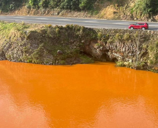 Ohinemuri River Photo: The Valley Profile/Davidda Hikatangata