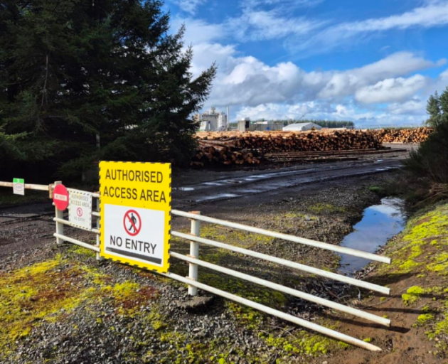 Winstone Pulp International's Raetihi premises, in the central North Island. Photo: RNZ