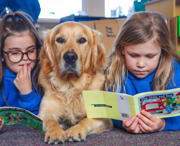 Kingsley enjoying a book with Tisbury School pupils Emmi Perry (left) and Quinn Shaw, both 7....