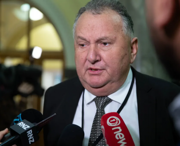 Associate Energy Minister Shane Jones Photo: RNZ / Reece Baker