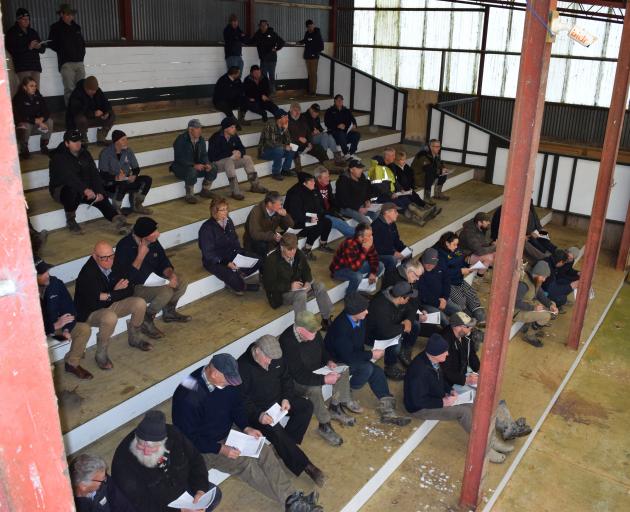 More than 70 people attended the Balclutha Cattle Sale last week.