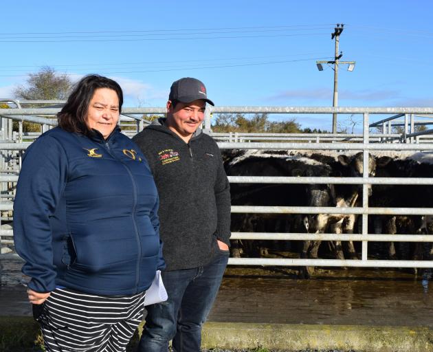 Farmer Suzie Roy and her son Lachie and some of the steers they offered at the Balclutha Cattle...