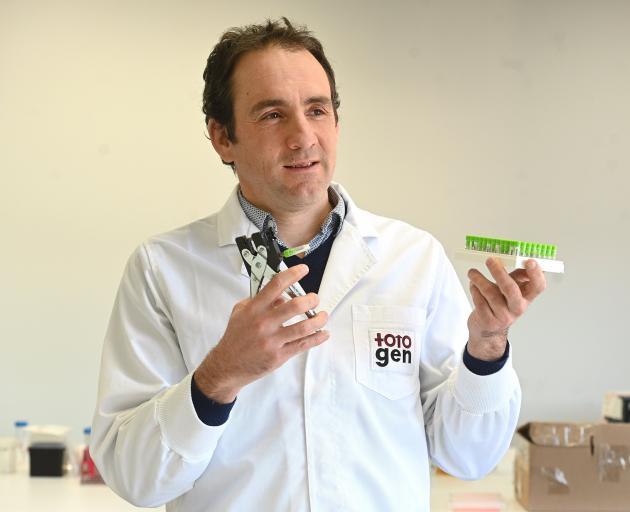 TotoGen co-founder Tim Hore displays an ear punch designed to easily collect DNA samples from...