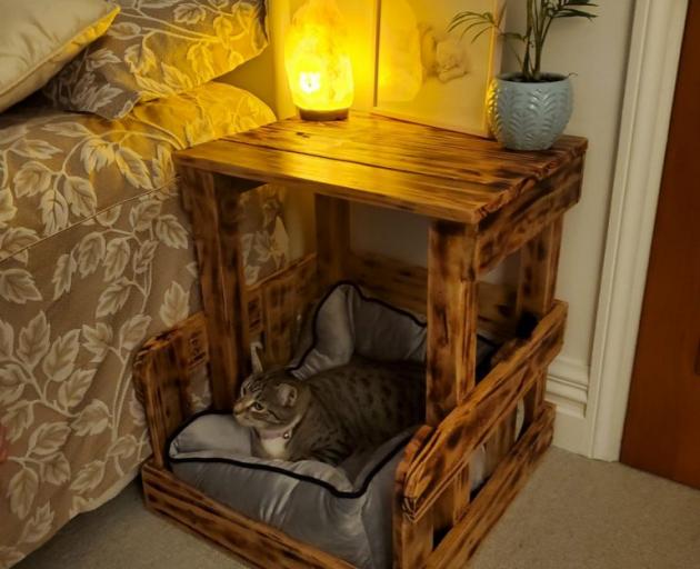 Bedside cabinet/animal bed. Photo: Supplied