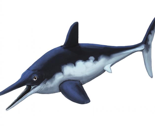 Reconstruction of Ophthalmosaurus icenicus, a genus of ichthyosaur. 