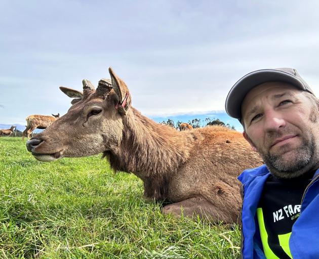 Duncan Humm with a friendly stag. Red deer are an important part of the balance at the family’s...