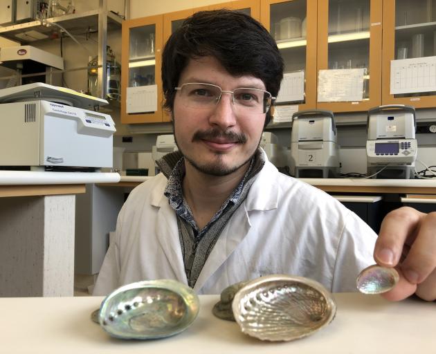 University of Otago zoology PhD candidate Kerry Walton with the shells of a newly confirmed...