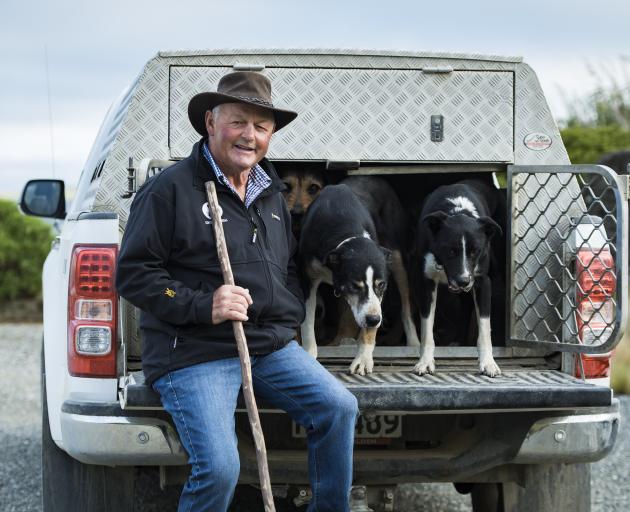 John Chittock and his dogs (from left) Murphy,Trump and Max on Jeff Farm in Kaiwera. PHOTO: IMAGE...