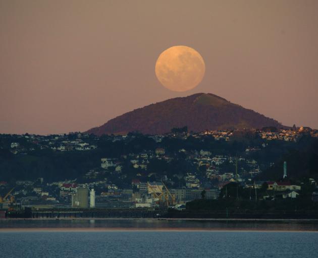 This morning's super blue moon sitting over Saddle Hill. Photo: Ian Griffin 