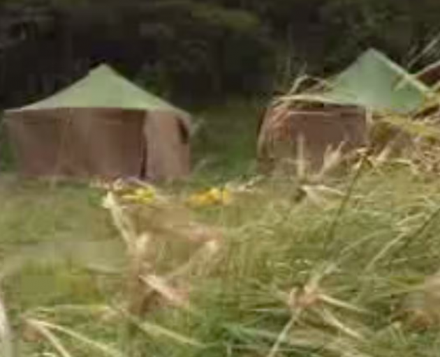 Tents where young people slept alongside supervisors at Whakapakari, a youth boot camp on Great...