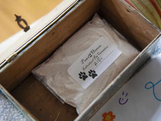 Alfie's ashes. Photo: Geoff Sloan