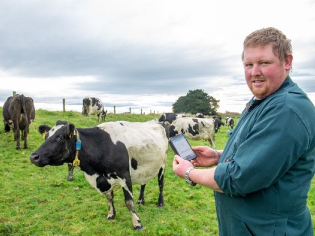 Jason checking data from the cow collars