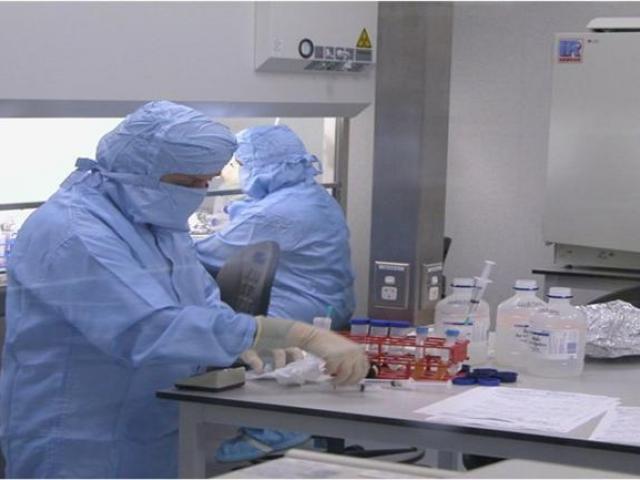 Researchers at work in the pig laboratory at Awarua.