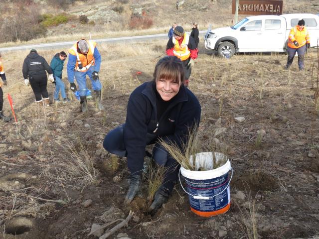 Vincent Community Board chairwoman Tamah Alley plants a tussock at the Half Mile Recreation...
