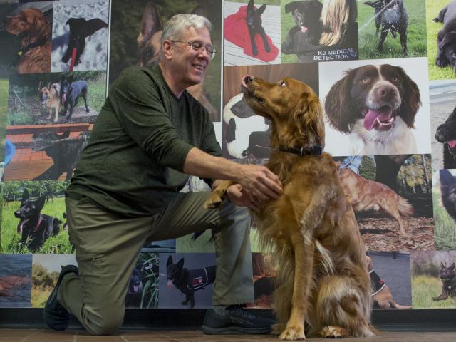 Highly sought-after dog trainer Steve White was impressed with the work of K9MD dog Magic and...