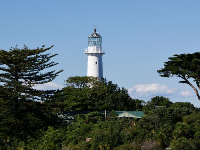 Tiritiri Matangi Island. Photo: DOC