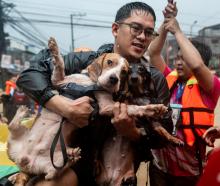 A man carrying his dogs gets off a boat along a flooded road in Marikina City, Philippines....