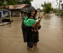 Jasper Miranda, 26, wades through floodwaters with his pet ducks that he saved from their flooded...