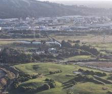 The Ferrymead Regional Park area will be turned into coastal wetland in a boon for native plants...