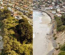 In winter 2015, a series of storms caused significant St Clair dune retreat between July 22 (left...