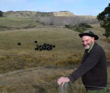 Farmer John Beattie, of Karitane, wants the government to maintain a ban on live exports. PHOTO:...