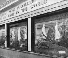 New Zealand lamb on display at the British Empire Exhibition at Wembley, London. Otago Witness,...