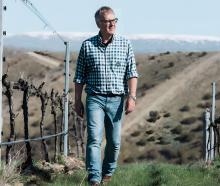 David Hall-Jones walks through his vineyard. PHOTO: SUPPLIED