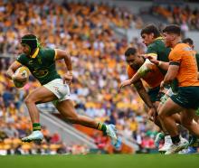 Kurt-Lee Arendse of the Springboks runs with the ball during the Rugby Championship match against...