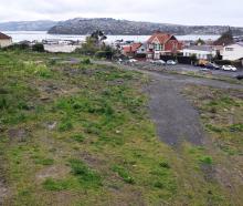 A site has been cleared for a major Kāinga Ora development in Carroll St, Dunedin. Demolition of...