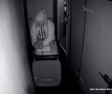 An offender stealing meat from the CBK Craft Bar &amp; Kitchen chiller. Photo: Supplied via Chris...